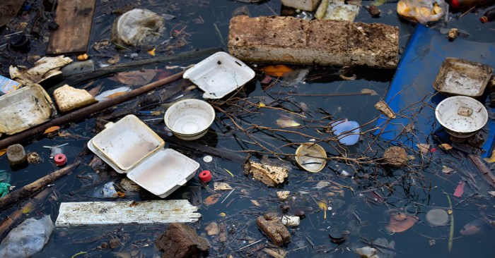 Water pollution